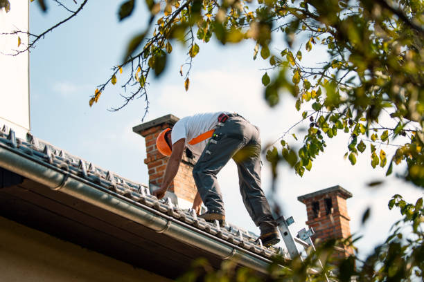 Best Roof Gutter Cleaning  in Mebane, NC